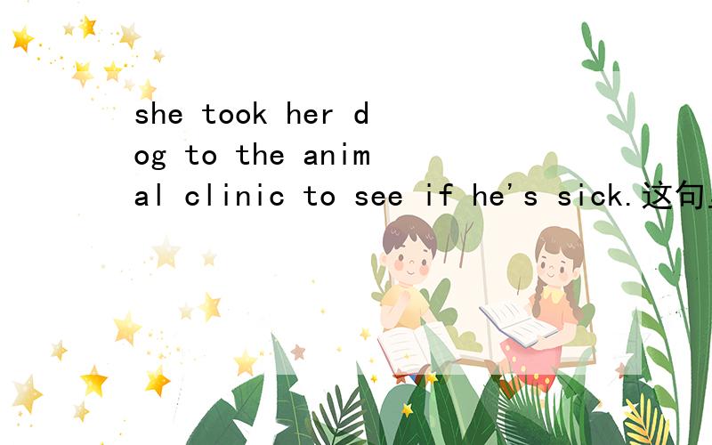 she took her dog to the animal clinic to see if he's sick.这句里为什么动物也用he这个词?为什么不用动物的it