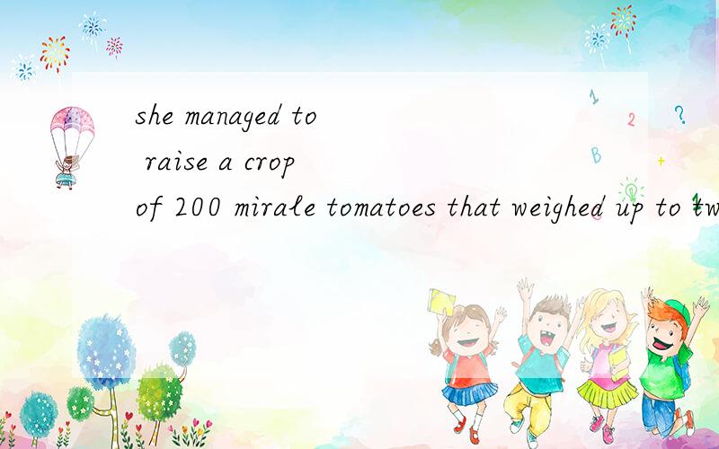 she managed to raise a crop of 200 mirale tomatoes that weighed up to two pounds each,是什么意思用中翻译