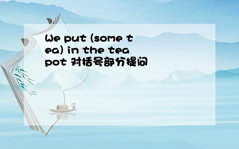 We put (some tea) in the teapot 对括号部分提问