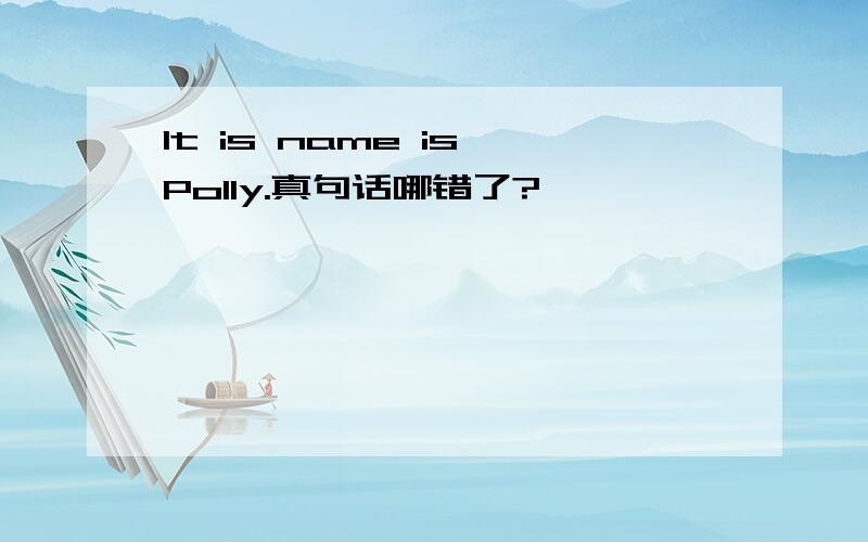It is name is Polly.真句话哪错了?