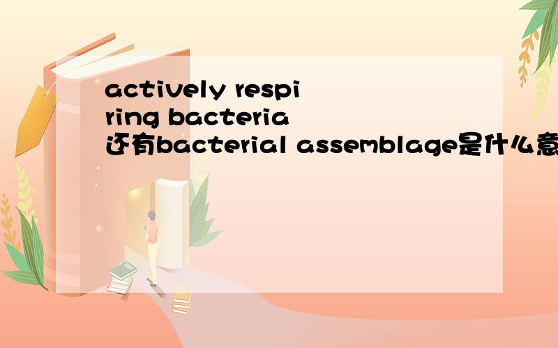actively respiring bacteria 还有bacterial assemblage是什么意思？