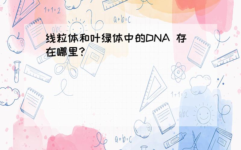 线粒体和叶绿体中的DNA 存在哪里?