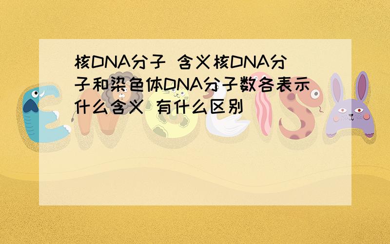 核DNA分子 含义核DNA分子和染色体DNA分子数各表示什么含义 有什么区别