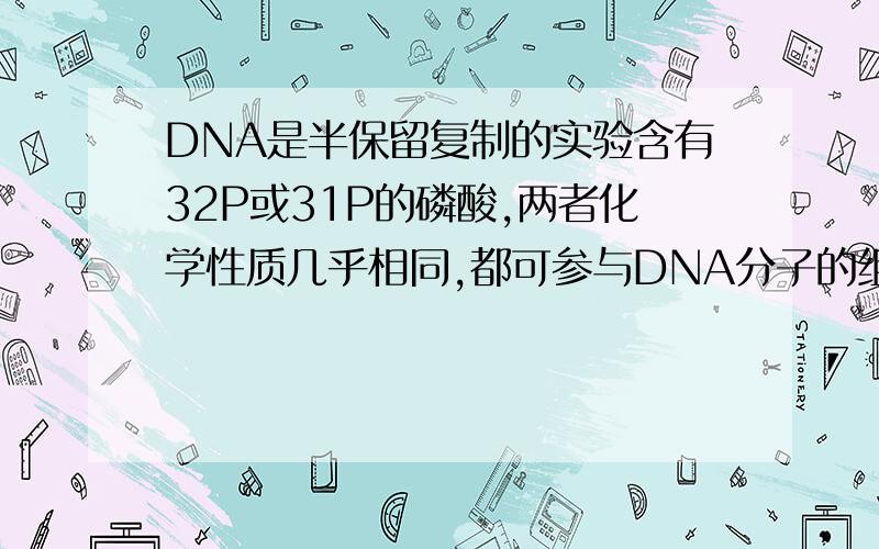 DNA是半保留复制的实验含有32P或31P的磷酸,两者化学性质几乎相同,都可参与DNA分子的组成,但32P比31P质量大.现将某哺乳动物的细胞放在含有32P磷酸的培养基中,连续培养数代后得到G0代细胞.然