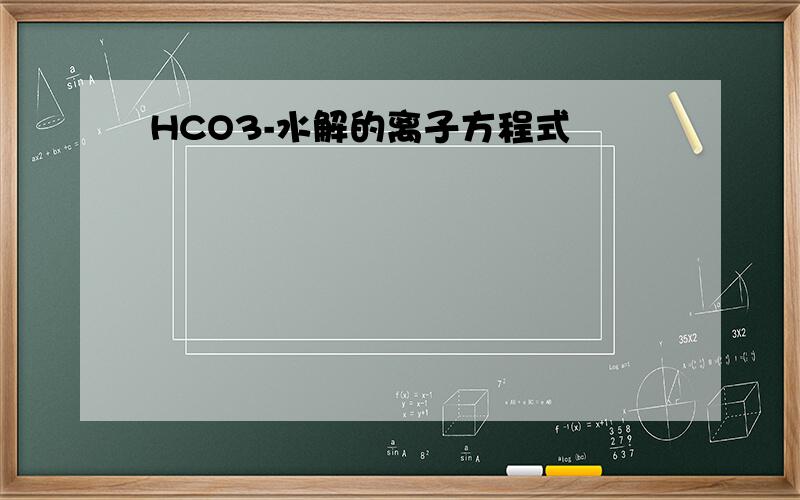 HCO3-水解的离子方程式