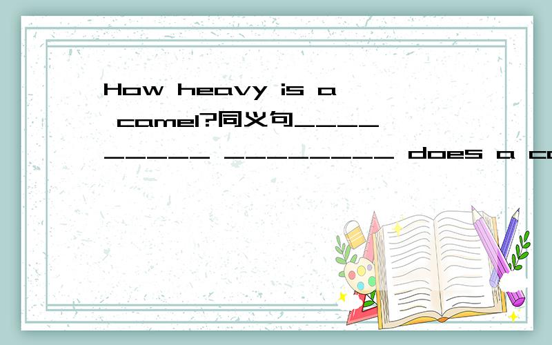 How heavy is a camel?同义句_________ ________ does a camp _____________?
