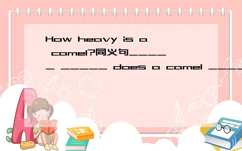 How heavy is a camel?同义句_____ _____ does a camel __________?