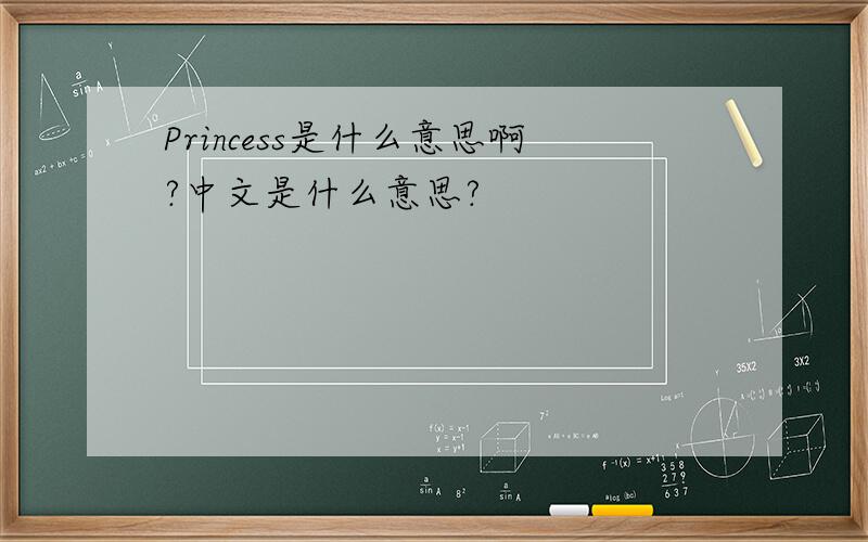 Princess是什么意思啊?中文是什么意思?